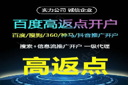 百度竞价托管公司案例分析：打造行业领军企业