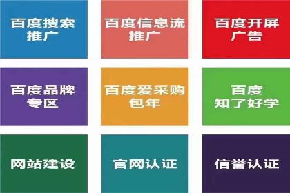 推广竞价策略优化：借鉴成功案例实现精准营销